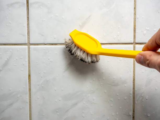 Best Professional Mold Removal  in Stro Valley, CA