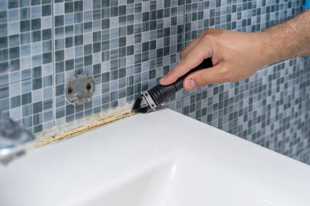 Best Black Mold Removal  in Stro Valley, CA
