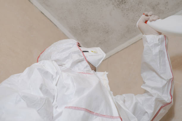 Best Mold Testing  in Stro Valley, CA